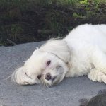 [댓글부탁해] 앉은키 큰거 진짜 빡친다