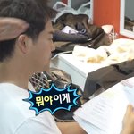 전현무와 기안84가 어리둥절했던 "너 T야?"