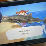 [드루와] 물고기 <b>조카커</b> ㅁㅊ