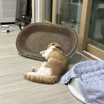 [비트이더]휴가를 다 보냈을때