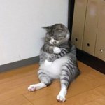 백수로
