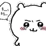 재수생 스그 <b>한자리</b> 들어올사람!!