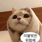 집가면 <b>한숨</b>잘래