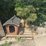 7~8마리의 개들이 <b>고통속</b>에서 묶여 살고 고문 당하고 있습니다....