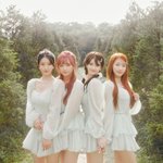 2년 6개월만에 드디어 컴백한 아이돌