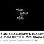 [스키즈] 아싸 스키즈로그 인급동