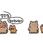 [댓글부탁해] 너넨 판하면서 제일 싫은 유형 뭐야