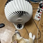 <b>꼬물</b>이 더위 잘 이겨내고 있어요