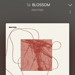 엔하이픈 일본곡 노래떴다..