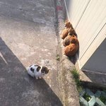 그 옷입을때 <b>브라</b>끈 안보이게