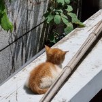지방대 갔는데 생각보다 넘 <b>만족</b>해