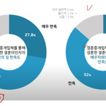 외국녀들의 한국남 결혼 <b>만족도</b>
