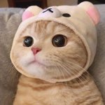 <b>istj</b>가 너무 꼴림