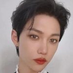 스트레이 키즈 네시픽