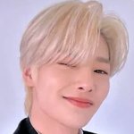 스트레이 키즈 네시픽