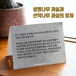 <b>선악</b>나무 과실을 먹으면 안되는 이유는??