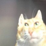 남자애가 스토리에