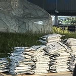 [트레저] 제 최애 트레저 역조공 쌀 줬다니까