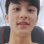 마크의 <b>치아</b>