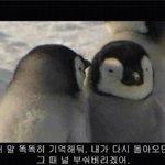 보그 화보 <b>표절</b> 논란