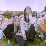 마마무플러스 댕댕 <b>뮤비사진</b> 모음