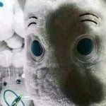 [댓글부탁해] <b>눈</b>이 너무 <b>작음</b>