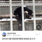 그거 기억남?