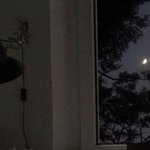 정신적으로 건강하지 않은 애들 스토리