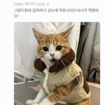 [드루와] 심심하니까 학교 가기 전에 준비하는거 알려줄게