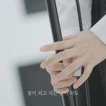 <b>카감</b>도 홀린 아이돌 의외의 신체 부위