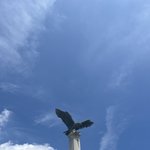 [댓글부탁해] 고1 연세대 가고 싶어