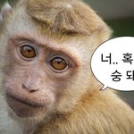 [댓글부탁해] 고<b>딩들</b>아 나비효과 입문편있잖아
