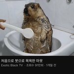 [댓글부탁해] 사랑니+감기+학원<b>특강</b> 모두 한번에 일어나고있음