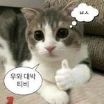 <b>이런</b> 짤 어디서 모음?