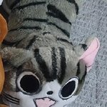 얘들아 이 고양이 무슨 <b>캐릭터</b>였지??