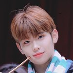 [ZB1] 아 태래 보고싶다