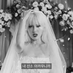 소미 와이지 ㅈㄴ잘간거 맞지않음?