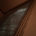 <b>달빛</b> 미쳤다