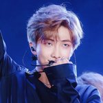 방탄 <b>알</b><b>엠</b> 댕댕이
