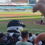 너네 <b>야구</b> 안조아함??