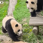 판 요새 <b>유입</b> 왜 많아짐?