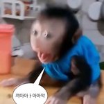 [엔하이픈] 아 연말무대 ㅈㄴ 기대된다