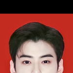 차은우 얼굴을 <b>황금</b>비율에 넣었더니