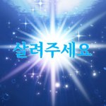 [댓글부탁해] n<b>수생</b>들아 너네들은 요즘 어떰??