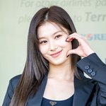 사나는 병크 있음?