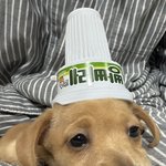이기자의 반대말이 뭐게
