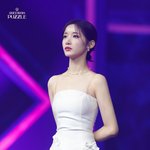 와이사진 개예쁘다