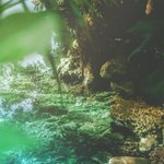 더비들 이렇게 사이좋게 웃는거 넘 오랜만임 ㅠㅠ