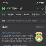 오늘 세계 고양이의 날<b>이래</b>