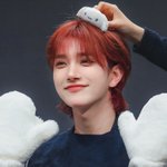 나 지금 조슈아 좋아하면 득이냐